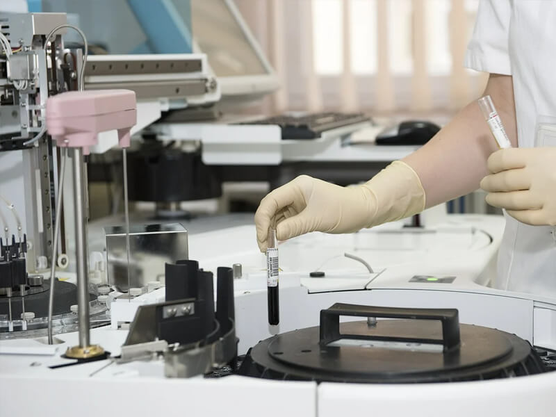 Pathology in BVMC